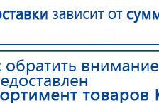 СКЭНАР-1-НТ (исполнение 01 VO) Скэнар Мастер купить в Раменском, Аппараты Скэнар купить в Раменском, Медицинская техника - denasosteo.ru