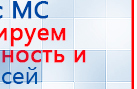 ЧЭНС-01-Скэнар-М купить в Раменском, Аппараты Скэнар купить в Раменском, Медицинская техника - denasosteo.ru